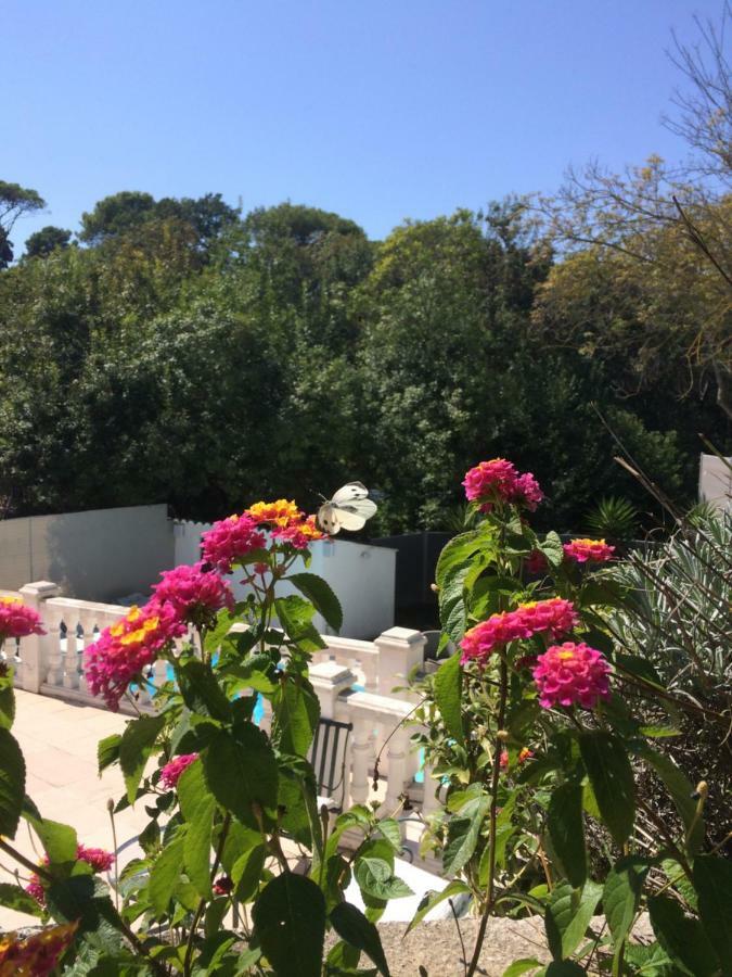 La Maisonnette Du Clos La Roquette-sur-Siagne Exterior foto